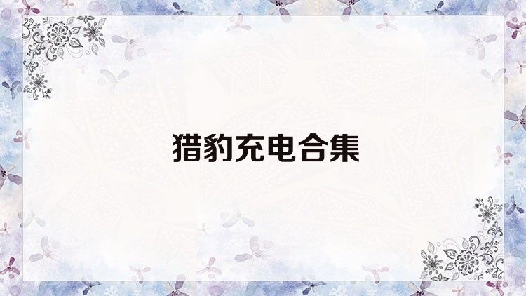獵豹充電合集