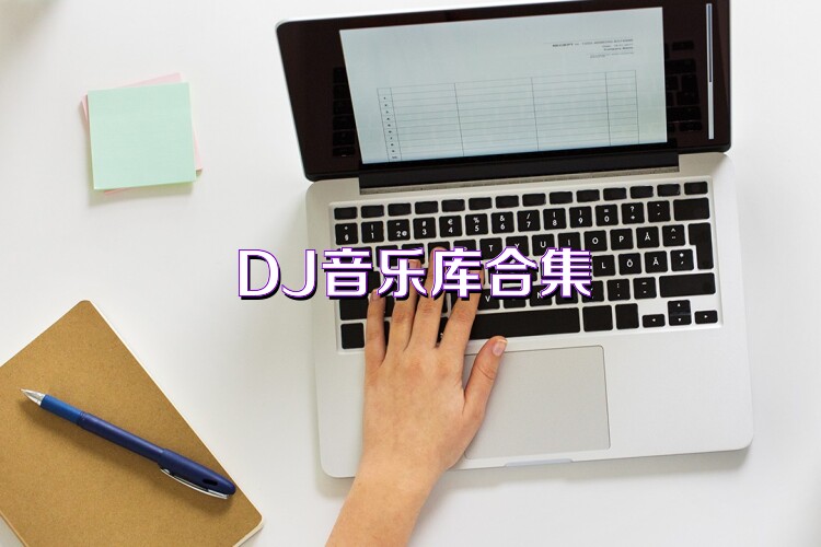 DJ音樂庫合集