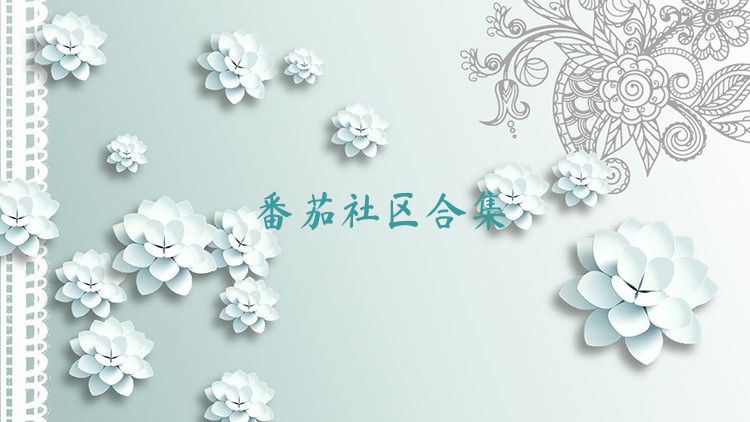 番茄社區(qū)合集