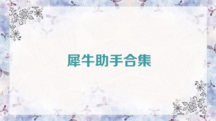犀牛助手合集