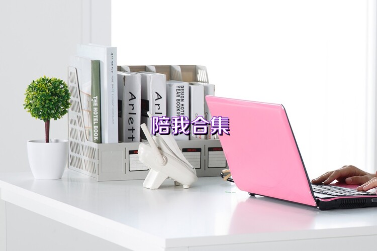 陪我合集