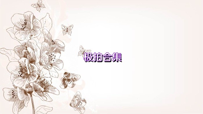 極拍合集