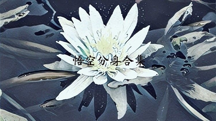 悟空分身合集