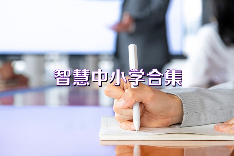 智慧中小學(xué)合集