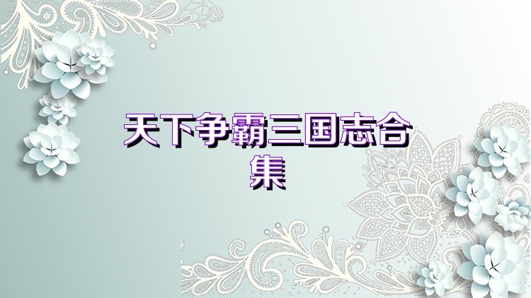 天下爭(zhēng)霸三國(guó)志合集
