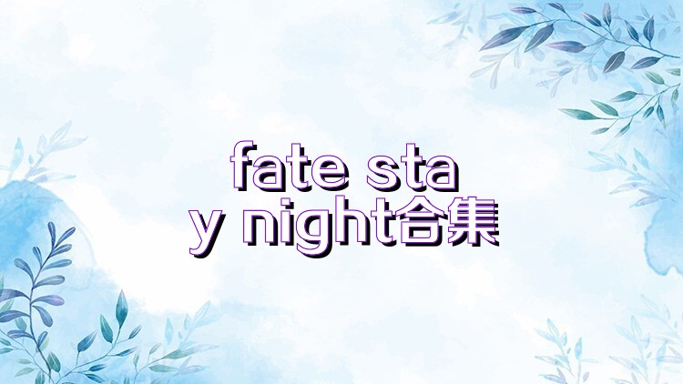 fate stay night合集