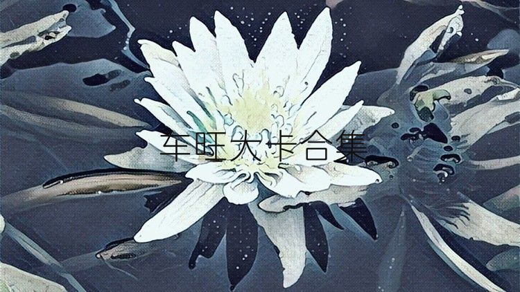 車(chē)旺大卡合集