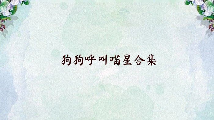 狗狗呼叫喵星合集