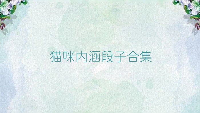 貓咪內(nèi)涵段子合集