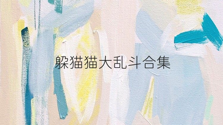 躲貓貓大亂斗合集
