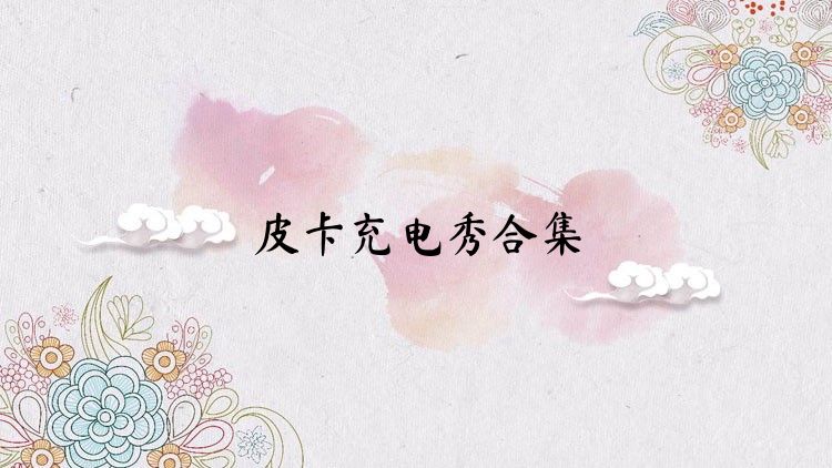 皮卡充電秀合集
