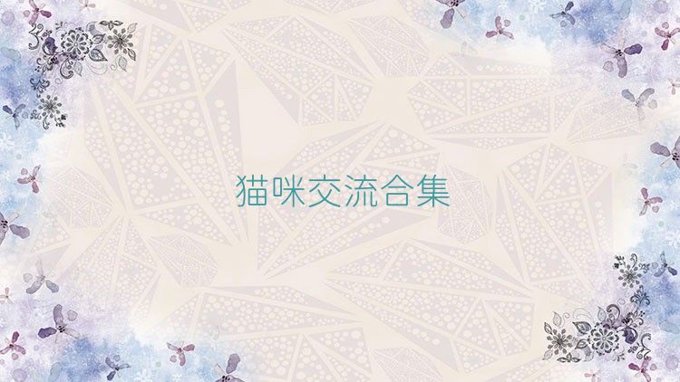 貓咪交流合集