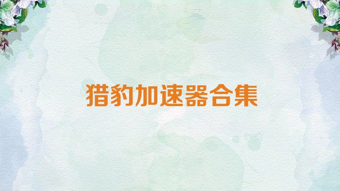 獵豹加速器合集