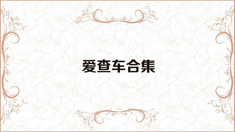 愛查車合集