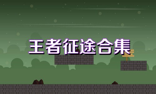 王者征途合集