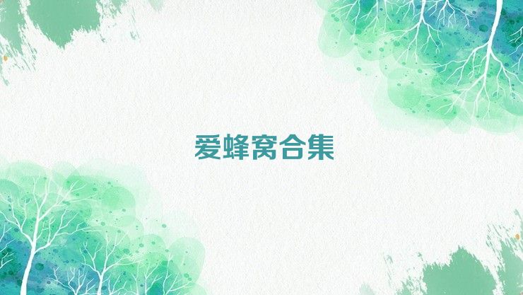 愛蜂窩合集