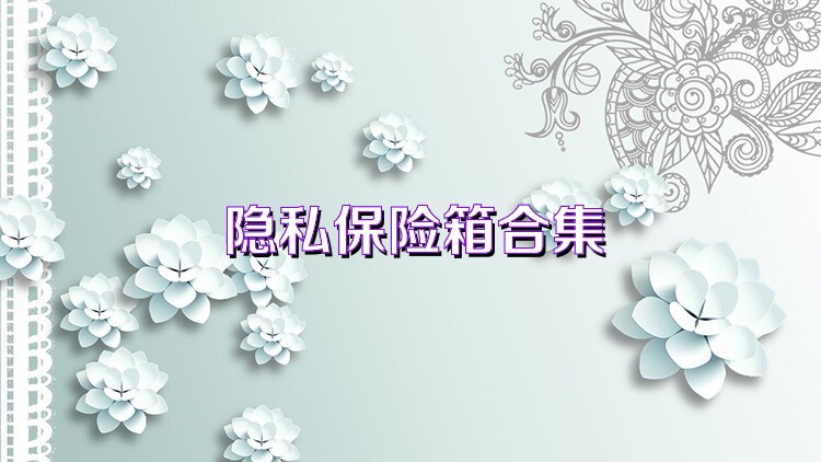 隱私保險(xiǎn)箱合集