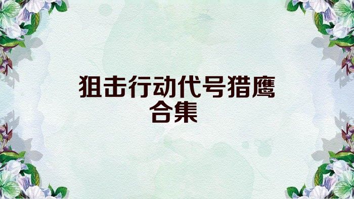 狙擊行動代號獵鷹合集