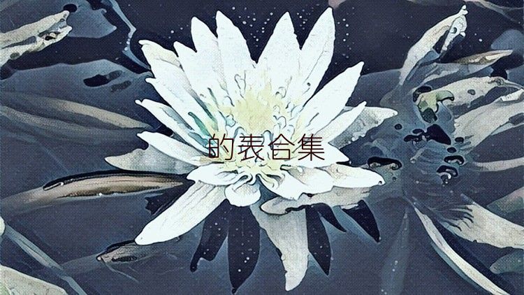 的表合集