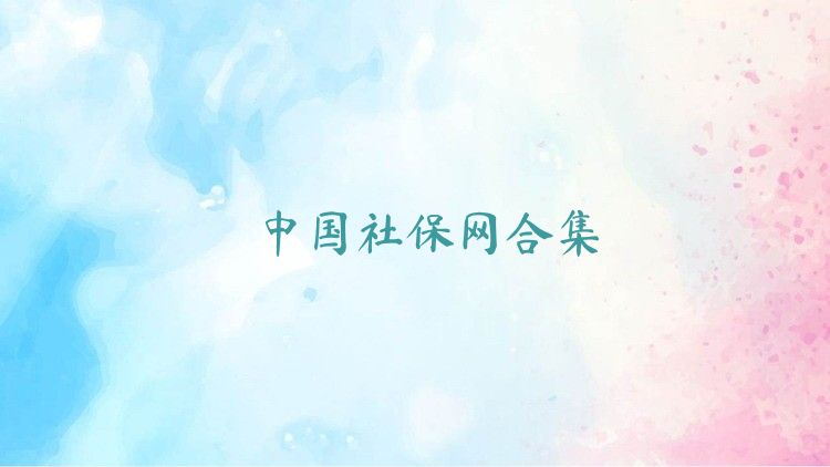 中國社保網合集