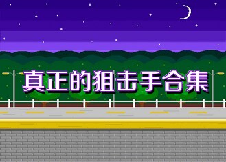 真正的狙擊手合集