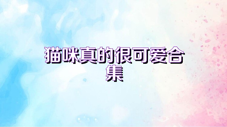 貓咪真的很可愛合集