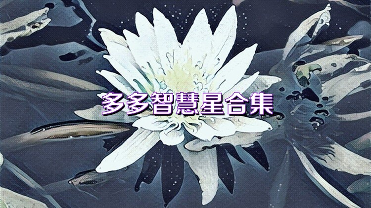 多多智慧星合集