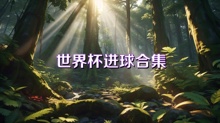 世界杯進(jìn)球合集