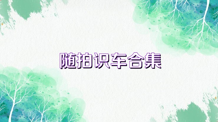 隨拍識(shí)車(chē)合集