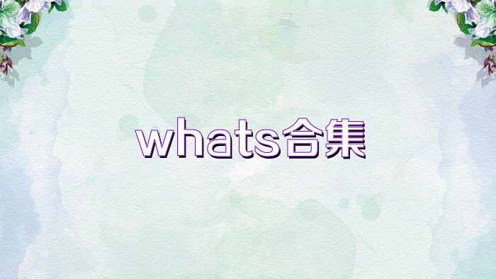 whats合集