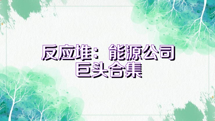 反應(yīng)堆：能源公司巨頭合集