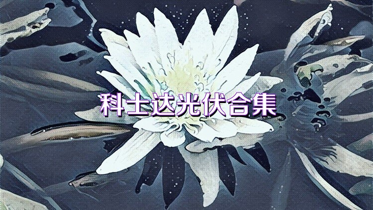 科士達光伏合集