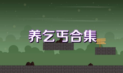 養(yǎng)乞丐合集