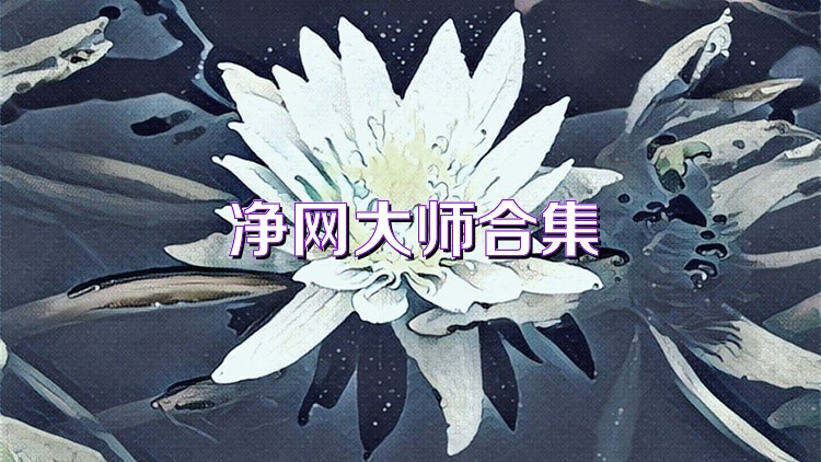 凈網(wǎng)大師合集