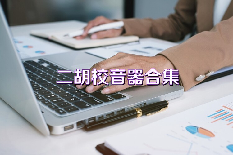 二胡校音器合集