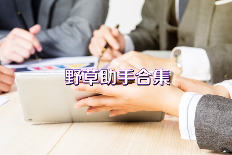 野草助手合集