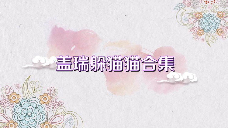蓋瑞躲貓貓合集