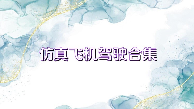 仿真飛機(jī)駕駛合集