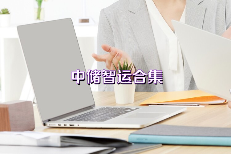 中儲智運合集