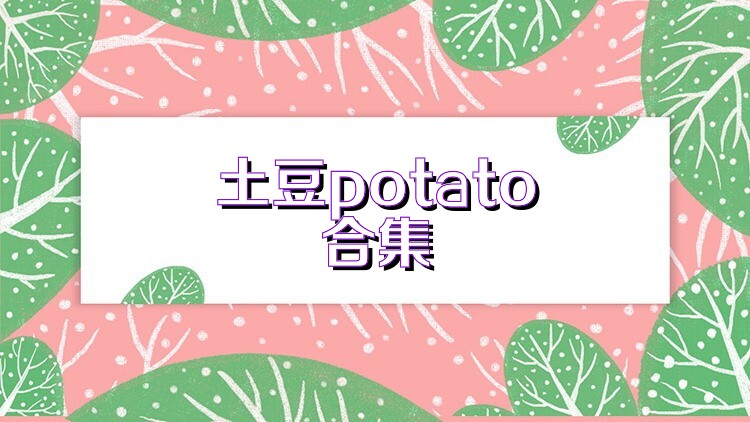 土豆potato合集