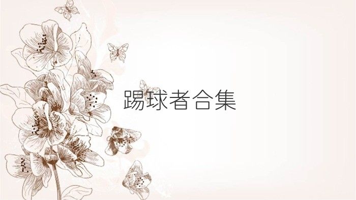 踢球者合集