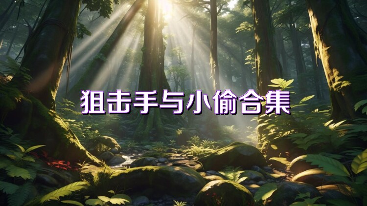 狙擊手與小偷合集