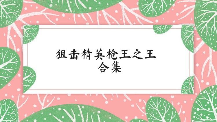 狙击精英枪王之王合集