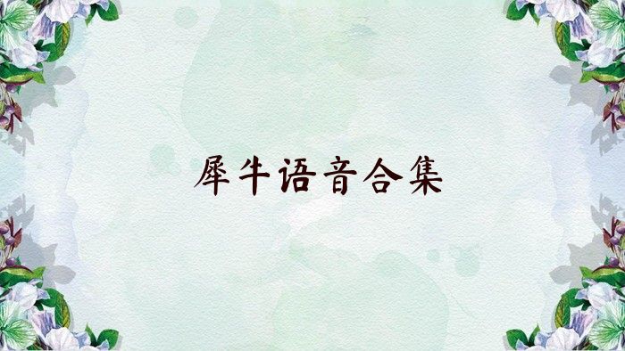 犀牛语音合集