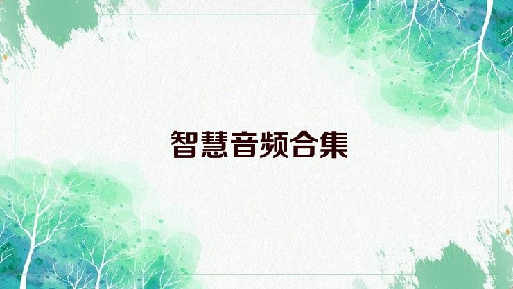 智慧音频合集