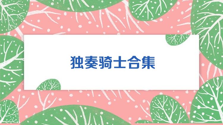 独奏骑士合集