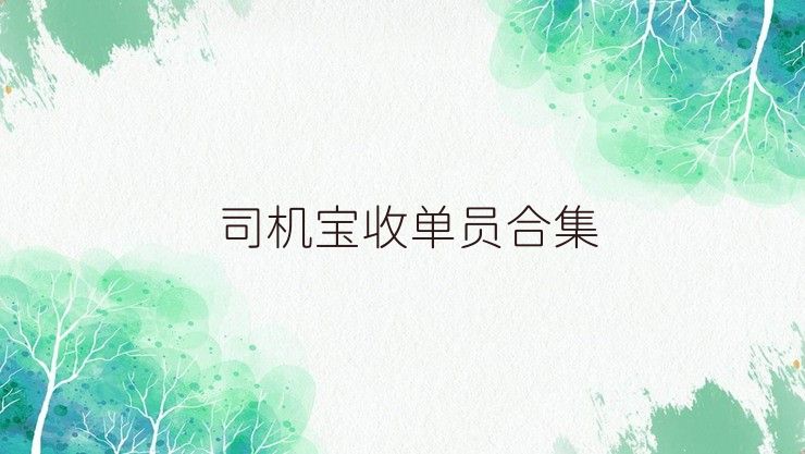 司机宝收单员合集