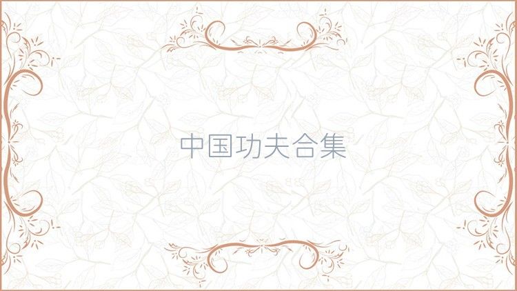 中国功夫合集