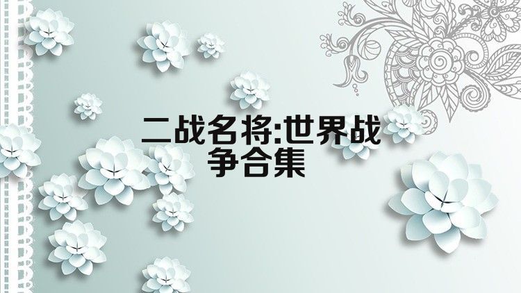 二战名将:世界战争合集