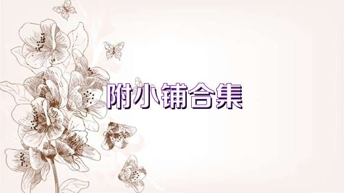 附小铺合集
